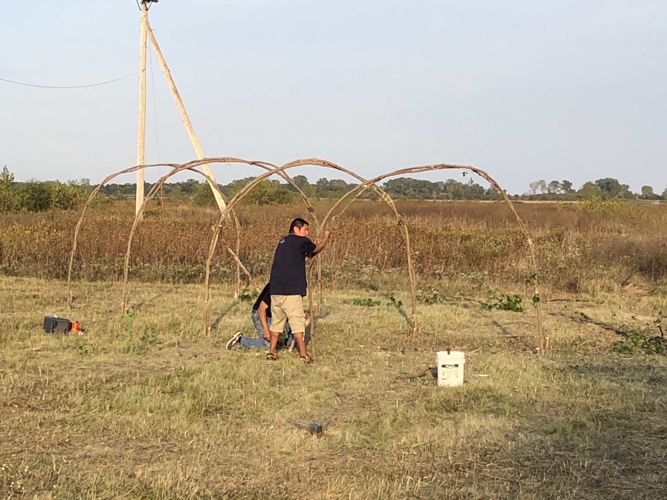 Ciipodoke and Hazac by Lightning New Rider